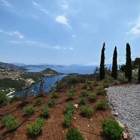 Blooms Of Bay - Luxury With Private Heated Pool Villa