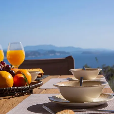 Blooms Of Bay - Luxury With Private Heated Pool Sivota